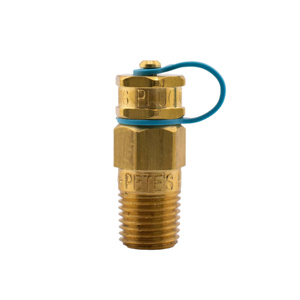 Pete's Plugs® Pressure and Temperature Gauge Test Plugs