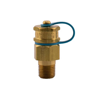 Pete's Plugs® Pressure and Temperature Gauge Test Plugs