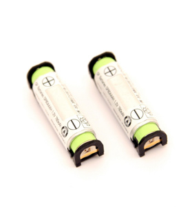 RKI Instruments Gas Detector Batteries