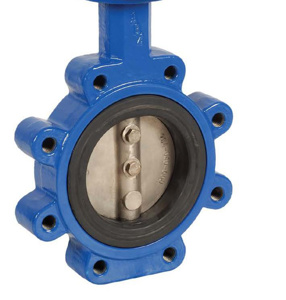 ASC Engineered 102 Series Ductile Iron Lug Style Resilient Seated Butterfly Valves 4 in 175 PSI
