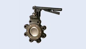Crane Flowseal Series Carbon Steel Wafer Style High Performance Butterfly Valves 10 in ANSI 150