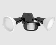 RAB Lighting GT500 Gotcha Series Twin-head Floodlights with Motion Sensor 38 W PAR38