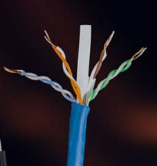 Remee Cat5e Riser Cable 1000 ft Reel 24/4PR Blue