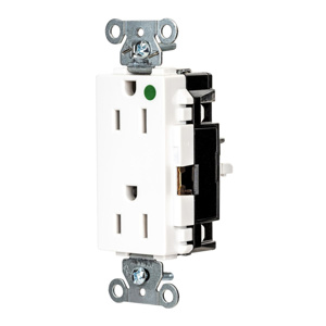 Hubbell Wiring Straight Blade Decorator Duplex Receptacles 15 A 125 V 2P3W 5-15R Hospital EdgeConnect™ Style Line® HBL® Extra Heavy Duty Max Dry Location White