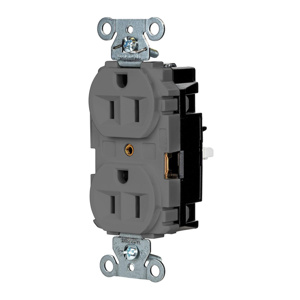 Hubbell Wiring Straight Blade Duplex Receptacles 15 A 125 V 2P3W 5-15R Industrial EdgeConnect™ Hubbell-Pro™ Dry Location Gray