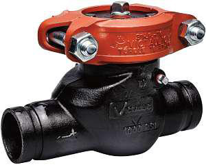 Victaulic 713 Series Ductile Iron Groove Ends Swing Check Valves 2 in 1000 PSI