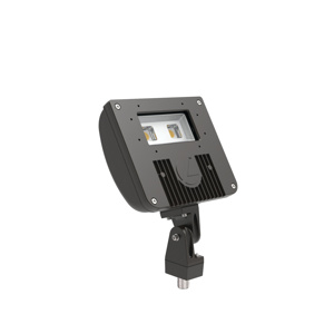 Lithonia D-Series Floodlights