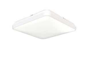 Lithonia Ceiling Lights