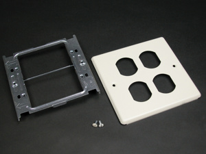 Wiremold 4000 Raceway Device Plates 2 Gang
