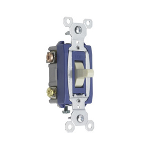 Pass & Seymour 1081 Series Toggle Switches 24 VAC/VDC 3 A Toggle