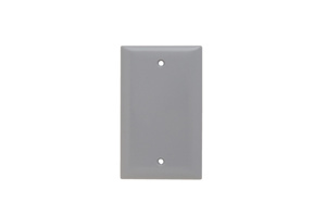 Pass & Seymour Standard Blank Wallplates