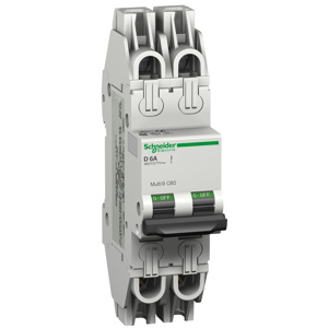 Schneider Electric Multi 9™ C60 Miniature Circuit Breakers 2 A 480Y/277 VAC 2 Pole Trip Curve C