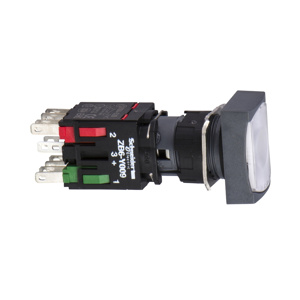 Square D Push Buttons