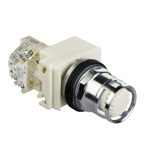 9001K3L1W 30MM ILLUM PB WHITE 120V FG