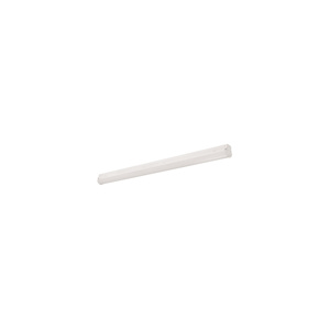 Day-Brite CFI FSS LED Strip Lights 120 -277 V 4 ft 5500 lm 4000 K