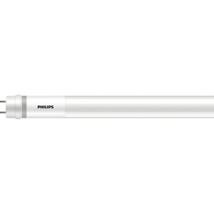 Philips Lighting Type B LED T8 Lamps 16.5 W Bi-pin (G13) 4 ft Non-dimmable 2100 lm 5000 K