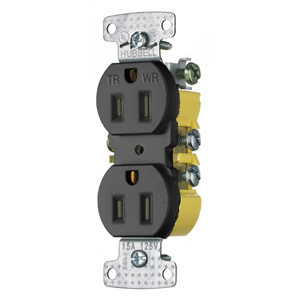 Hubbell Wiring Straight Blade Duplex Receptacles