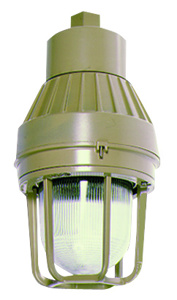 Lithonia Emergency Light Vandal-resistant Shields