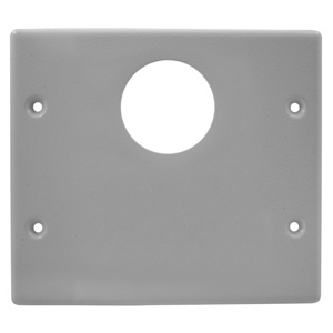 Hubbell Wiring Raceway Faceplates