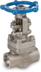 ASC Engineered 3483 Stainless Steel Threaded Both Ends Gate Valves 1 in ANSI 800 Handwheel API Trim 12