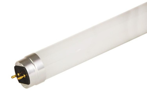 Current Lighting Type A LED T8 Lamps 15 W Bi-pin (G13) 48 in Dimmable 2200 lm 3500 K