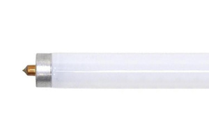 Current Lighting Fluorescent T8 Lamps