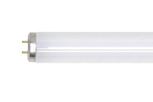 Current Lighting Fluorescent T12 Lamps 34 W 48 in Bi-pin (G13) 4100 K