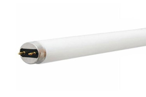 Current Lighting Fluorescent T8 Lamps 32 W 48 in Bi-pin (G13) 4100 K