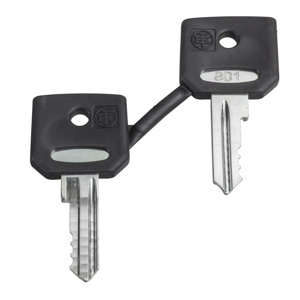 Schneider Electric Harmony™ ZBG Keys