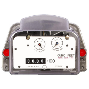 Itron Actaris Gas ERT® Modules