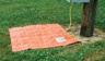AlternateImage_7079_persgrou_groundmat2