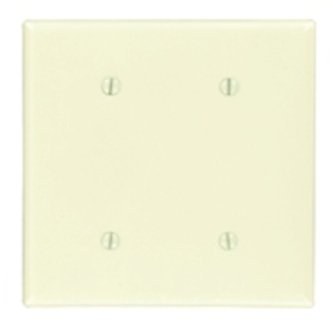 Leviton Standard Blank Wallplates 2 Gang Ivory Thermoset Plastic Strap