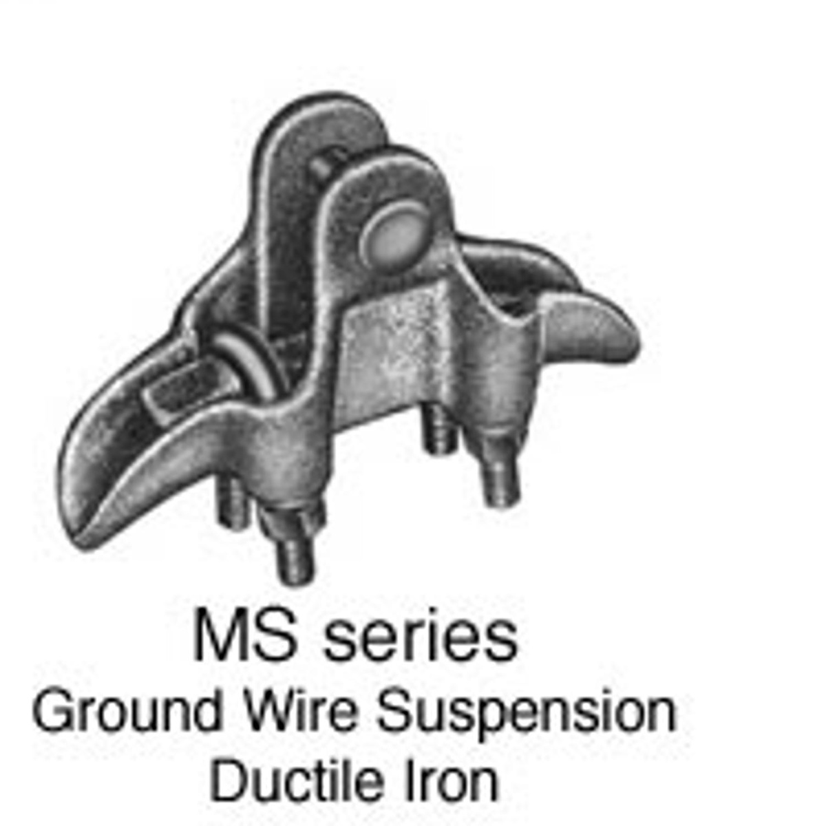 AlternateImage_3079_connsusp_ms