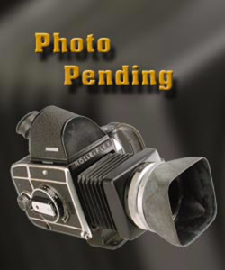 Hubbell Power Socket Clevises