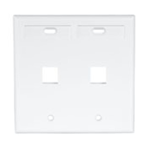 Leviton Standard Multimedia Faceplates 2 Gang 2 Port White High-Impact Plastic Box