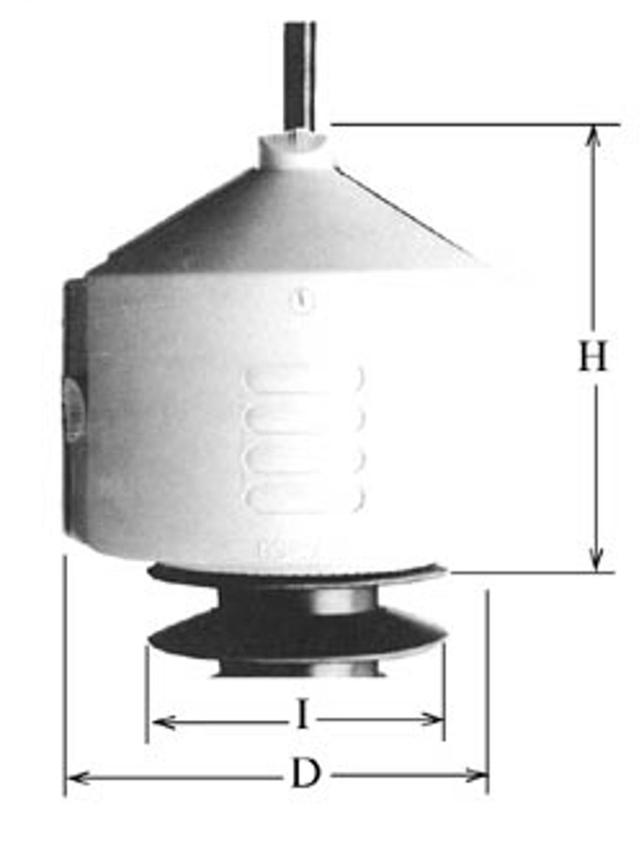 AlternateImage_3494_connothe_wildlife_s