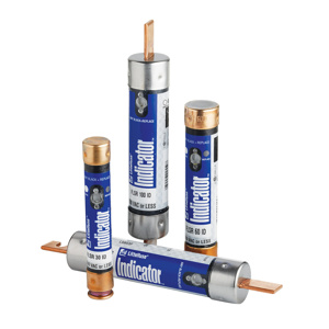 Littelfuse FLNR POWR-GARD® Series Time Delay Class RK5 Fuses 15 A 250 VAC/125 VDC 200/20 kA