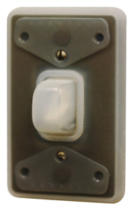 Hubbell Wiring Weatherproof Outlet Box Covers Toggle Switch 1 Gang Clear