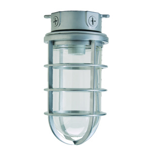 HLI Solutions V150 Series Vaportite Jelly Jars - Guard Only 150 W Incandescent For Hubbell V150 series