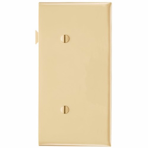 Pass & Seymour Standard Sectional Blank Wallplates 1 Gang Ivory Nylon Strap