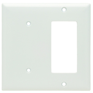 Pass & Seymour Standard Blank Decorator Wallplates 2 Gang White Plastic Device