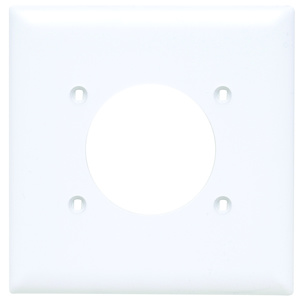 Pass & Seymour Standard Round Hole Wallplates 2 Gang 2.125 in White Nylon Device