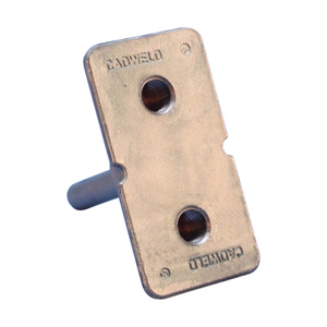 nVent Erico B162 Earthpoints, Two Stud Brass