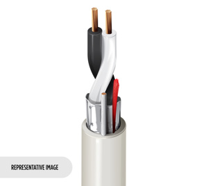 Belden Multi-conductor Riser Security & Alarm Cable