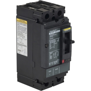 Square D Powerpact™ HDL Series Cable-in/Cable-out Molded Case Industrial Circuit Breakers 125-125 A 600 VAC 14 kAIC 2 Pole 1 Phase