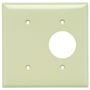 Pass & Seymour Standard Blank Round Hole Wallplates 2 Gang 1.406 in Ivory Plastic Device