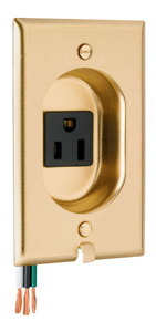 Pass & Seymour S3733 Series Clock Hanger Receptacles 15 A 125 V 2P3W 5-15R Commercial Stainless Steel