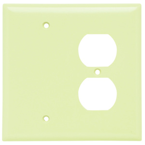 Pass & Seymour Midsized Blank Duplex Wallplates 2 Gang Ivory Plastic Device