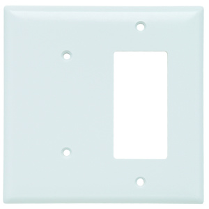 Pass & Seymour Midsized Blank Decorator Wallplates 2 Gang White Plastic Device