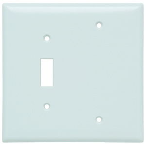 Pass & Seymour Midsized Blank Toggle Wallplates 2 Gang White Plastic Device